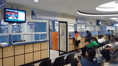 Sección de aseguramiento, área de patronos